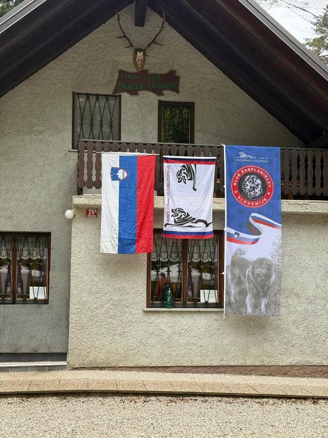 Specialna razstava za Šarplanince